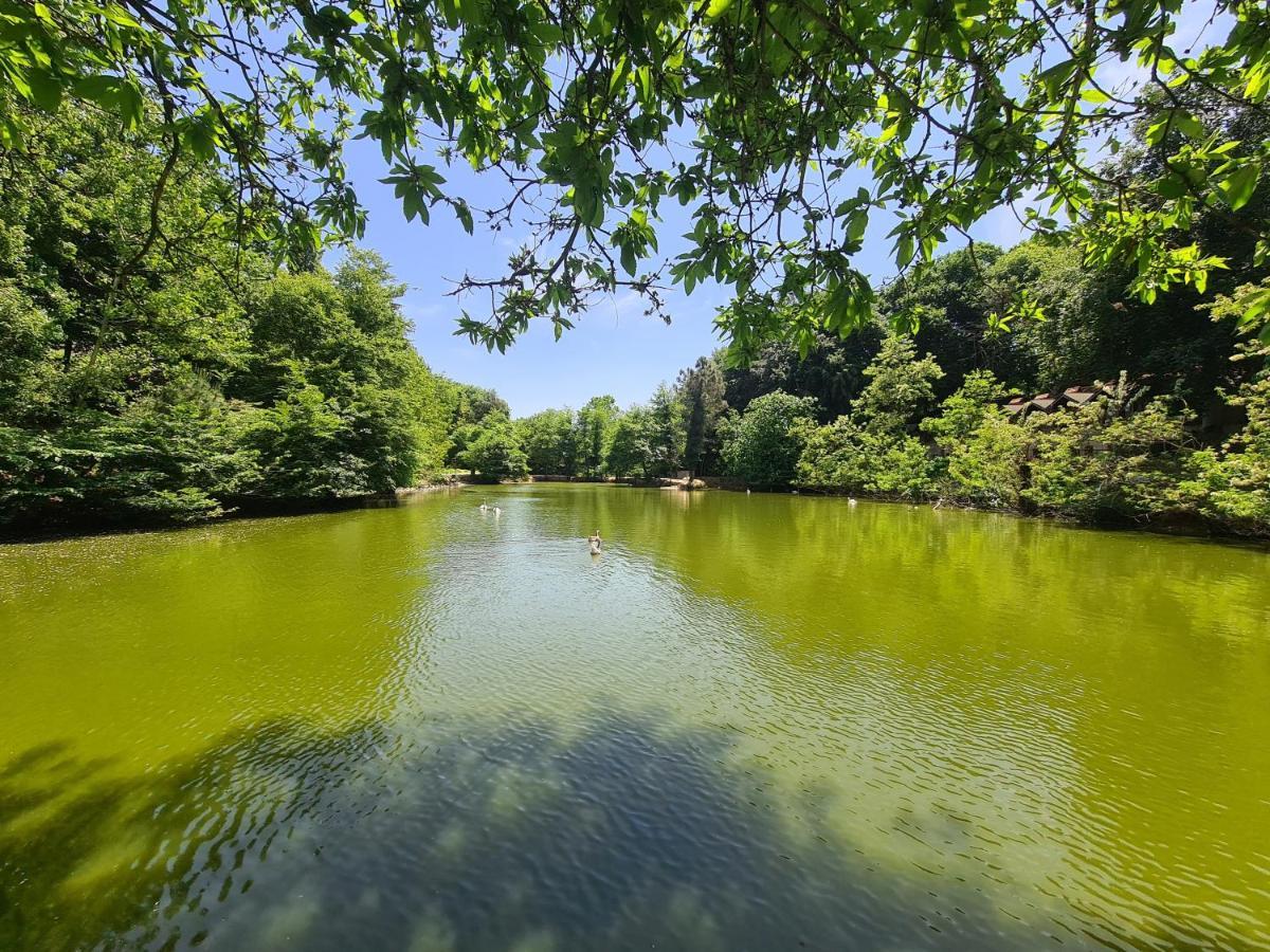 Polonezkoey Country Club & In The Wildlife Park! Resort Istanbul