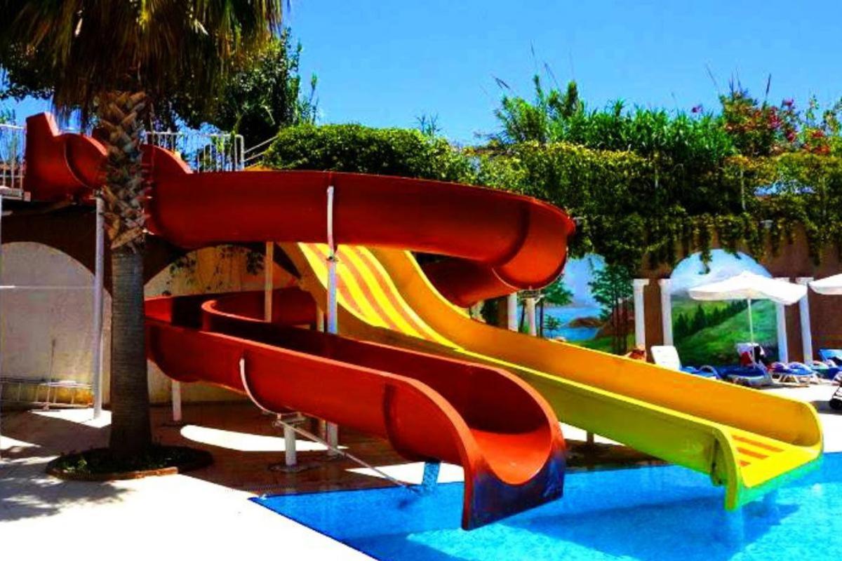 Orange Paradise