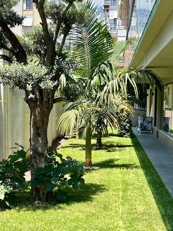Apartment 25 - Cleopatra Exclusive, Center