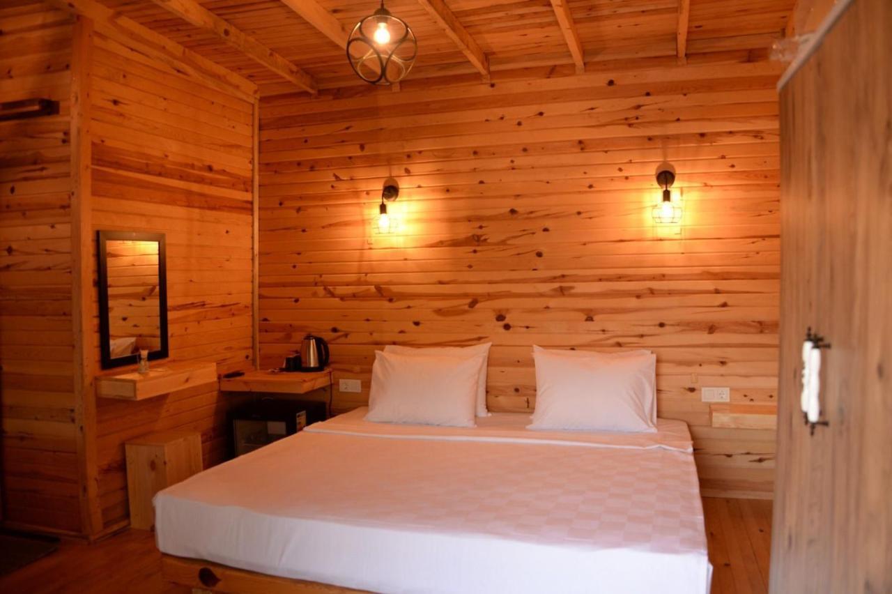 Pine & Luxury Concept *