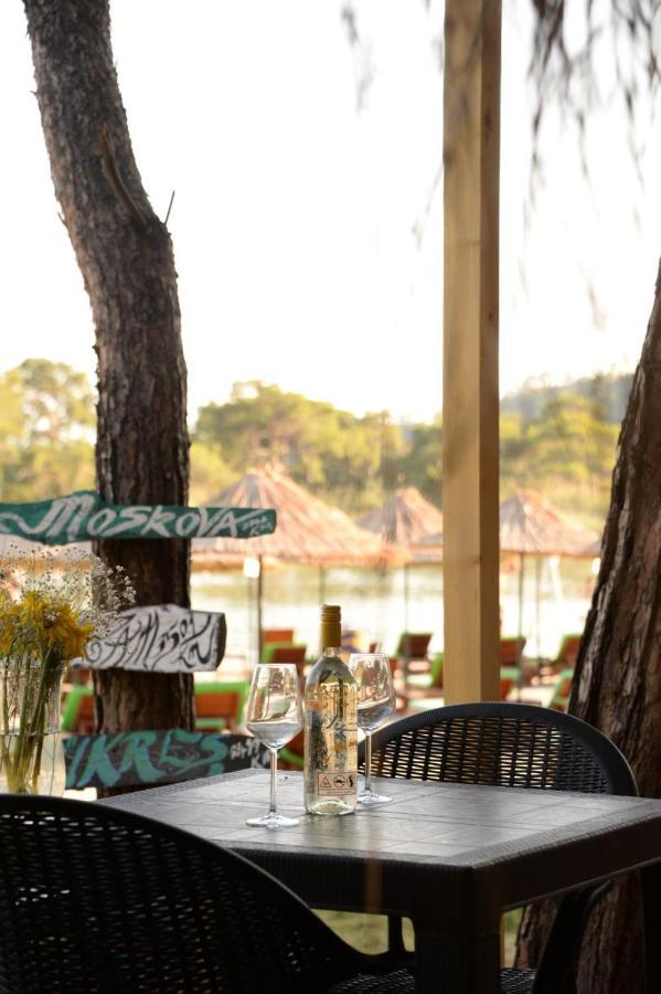 Hotel Pine & Luxury Concept