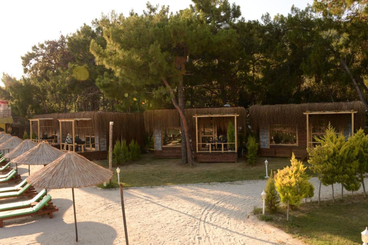 Pine & Luxury Concept Hotel