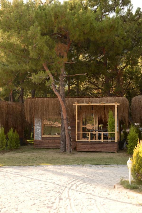 Hotel Pine & Luxury Concept *