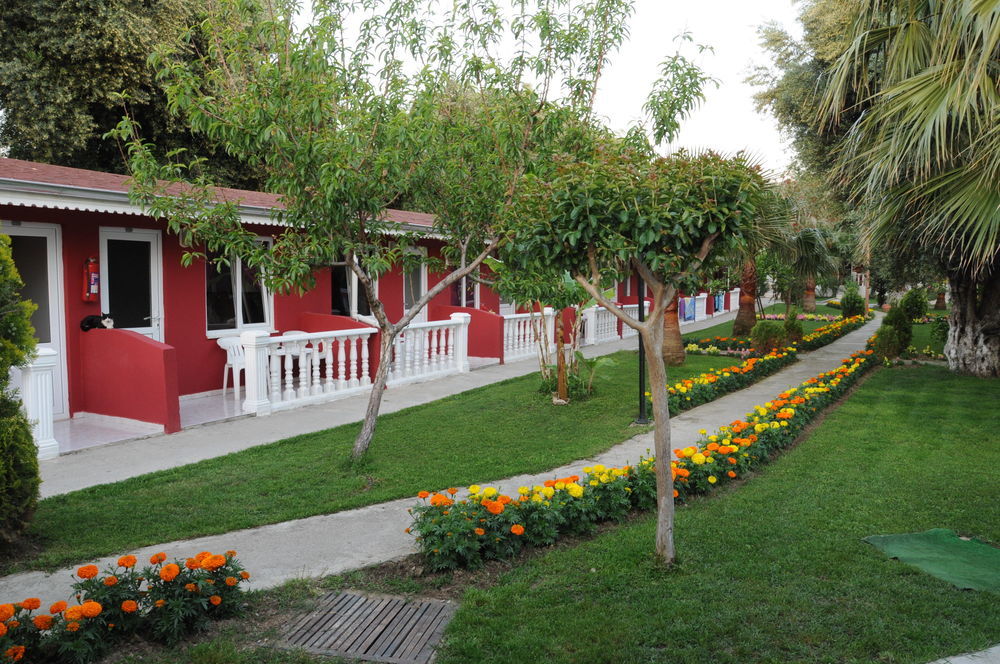 Clover Magic Altinkum Park Side