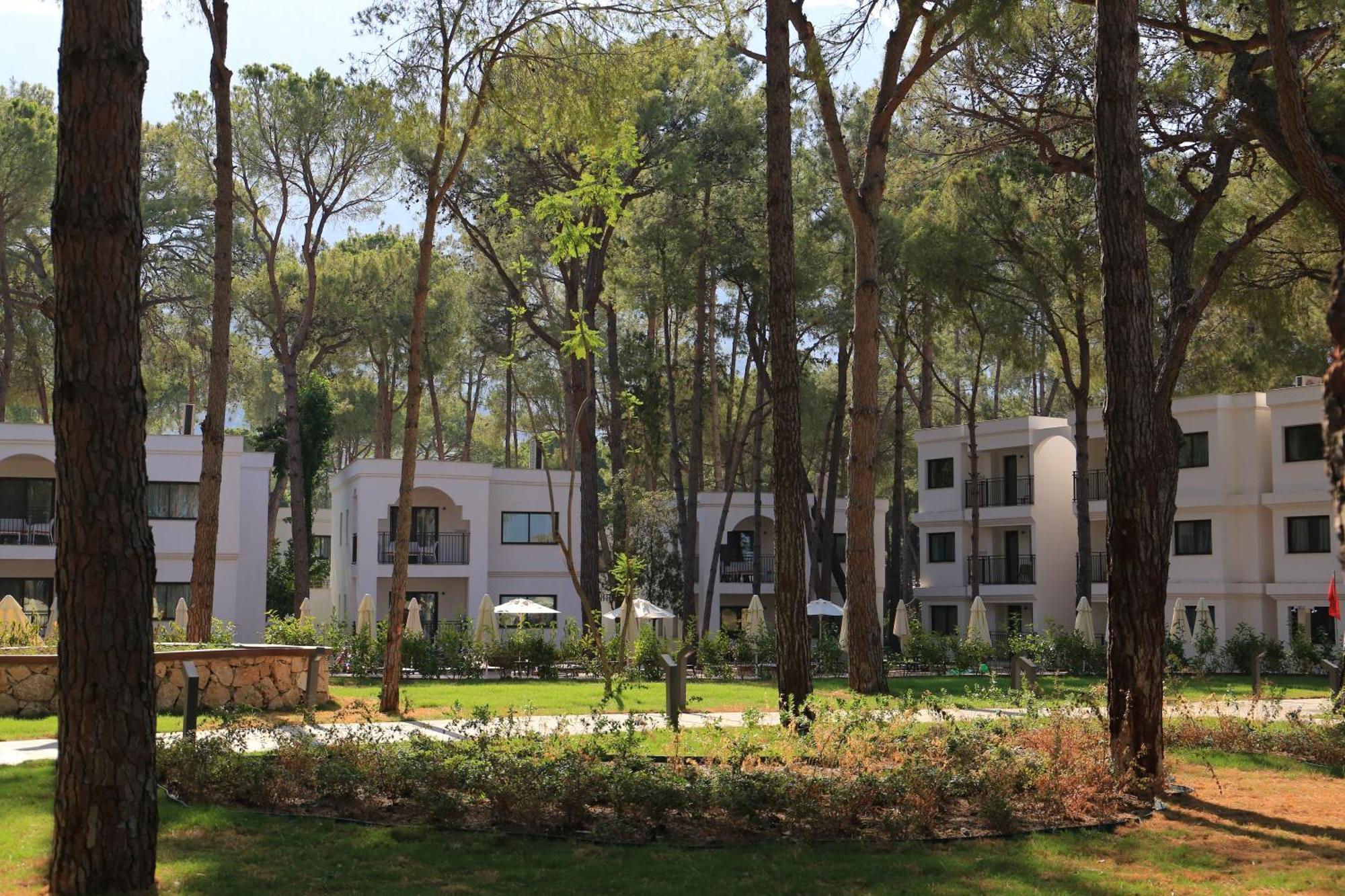 Siu Collection Hotel