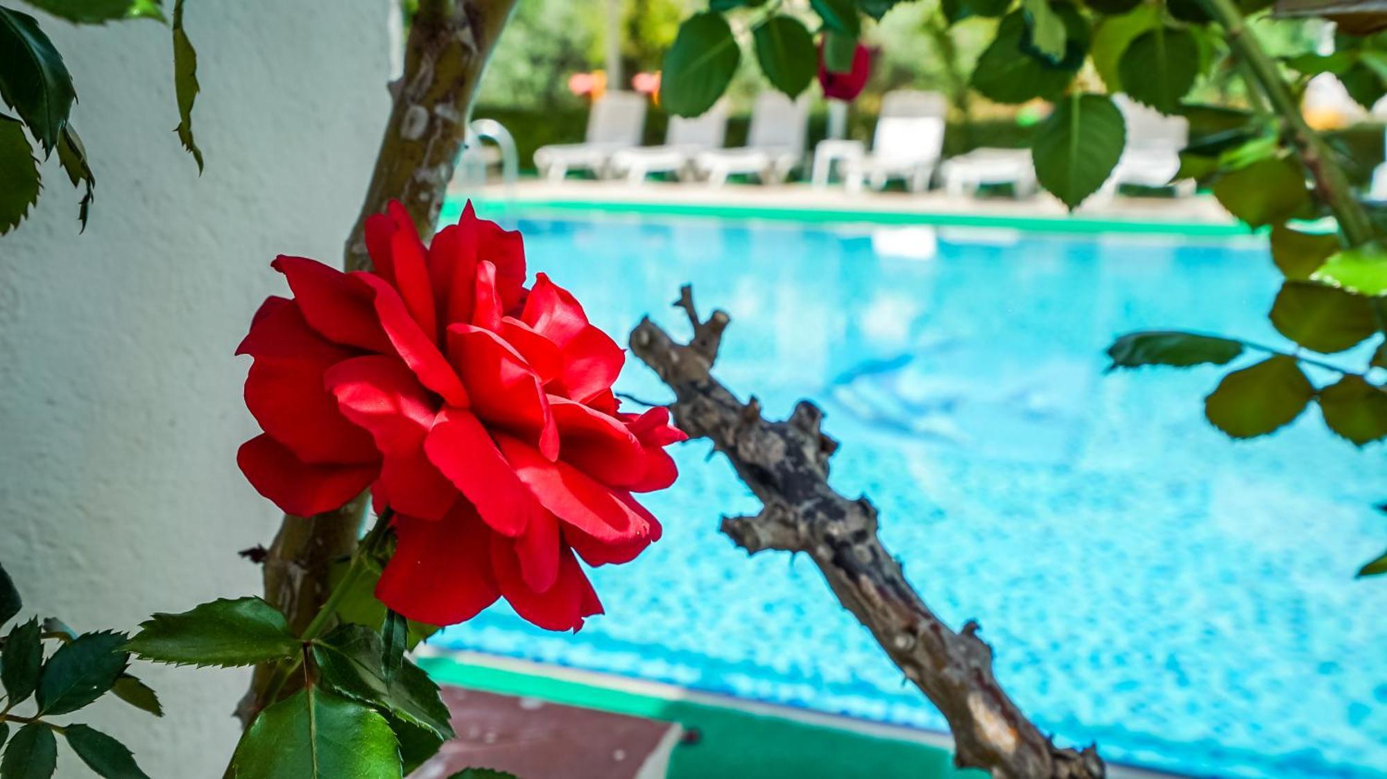 Aparthotel Catty Cats Garden 3*