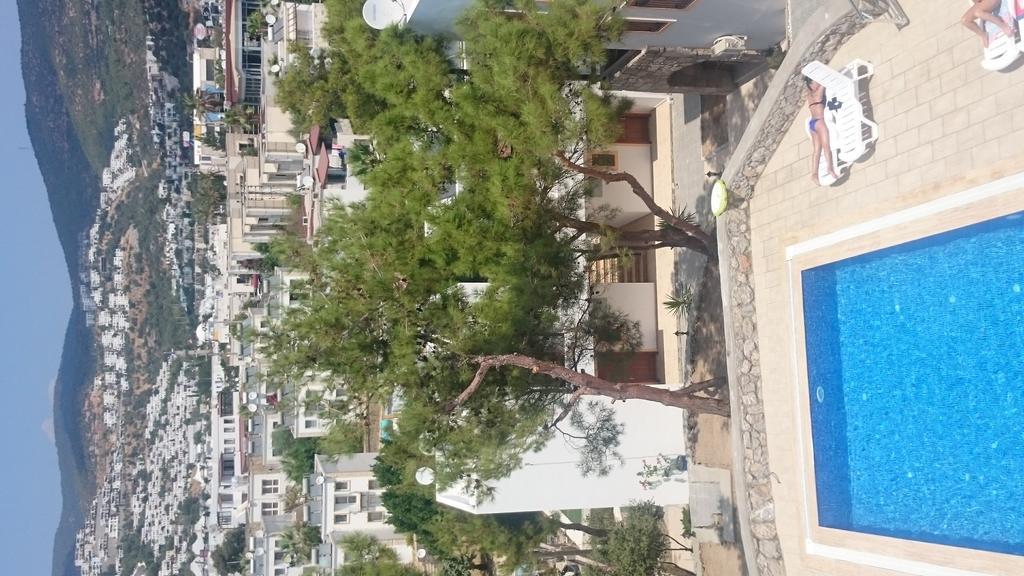 Rose Aparthotel 3*