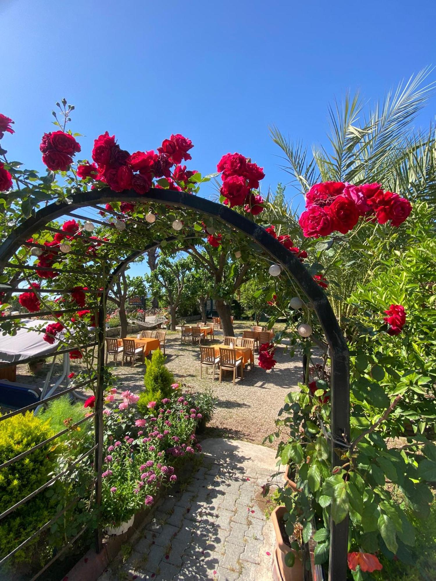 Plaj Guest house 3*