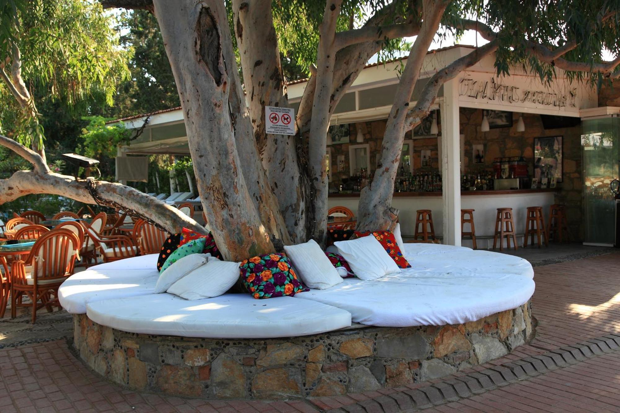 Hotel Okaliptus 4*
