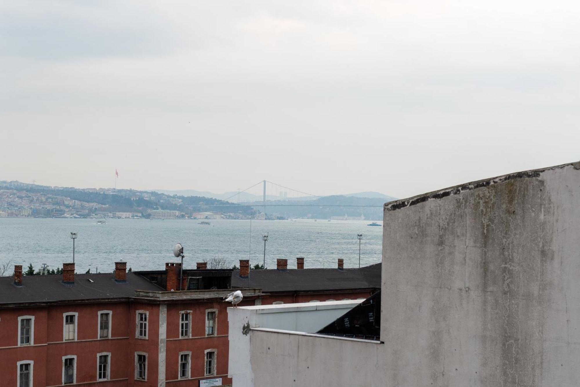 Mr. Bird Istanbul