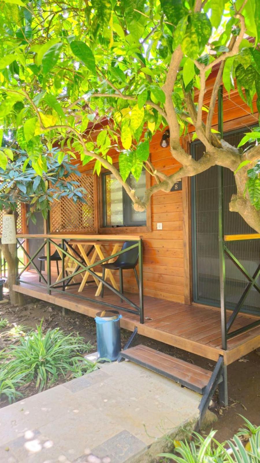 Baraka House Guest house Cirali