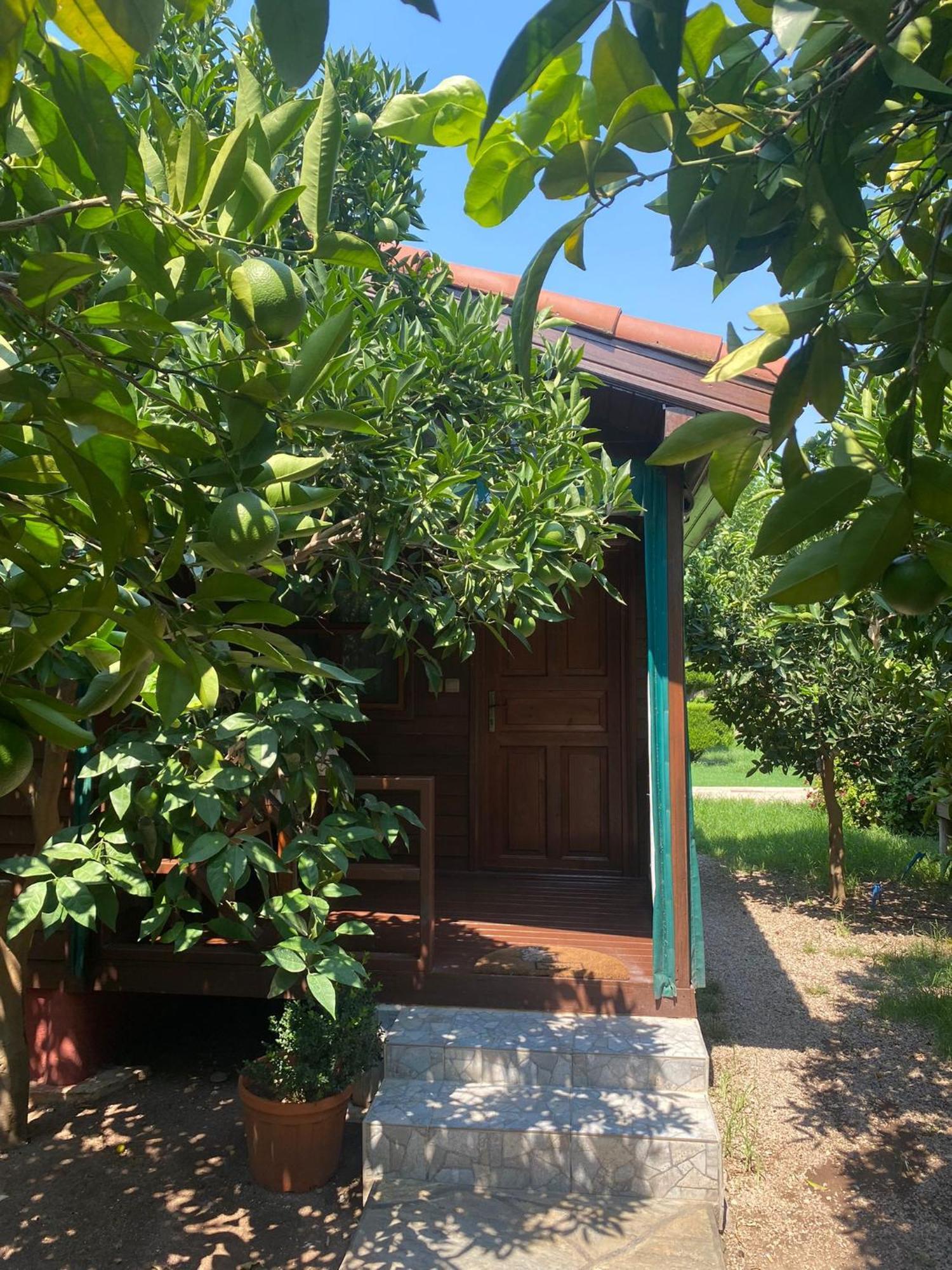 Plaj Guest house 3*