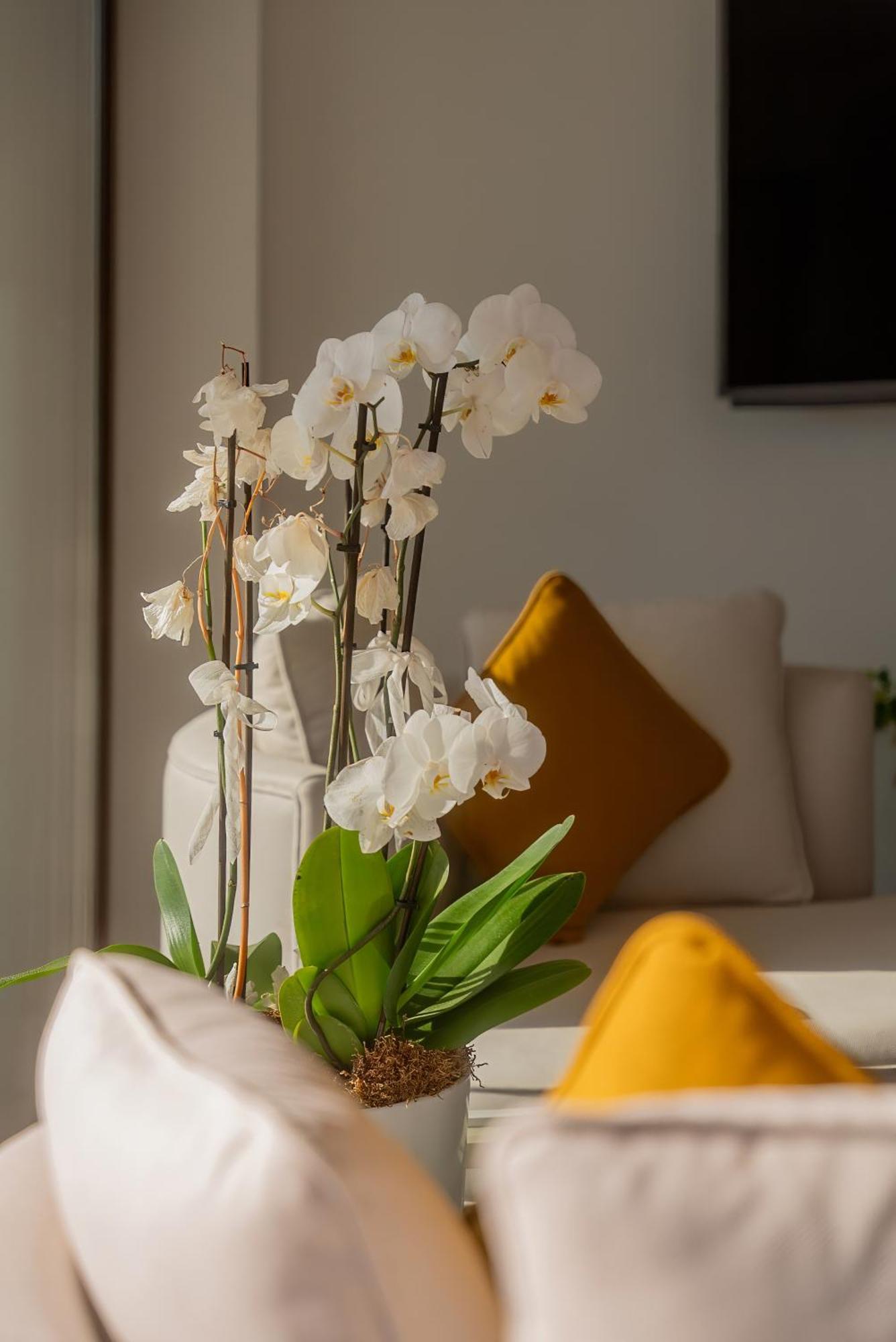 Hotel Neko Bodrum