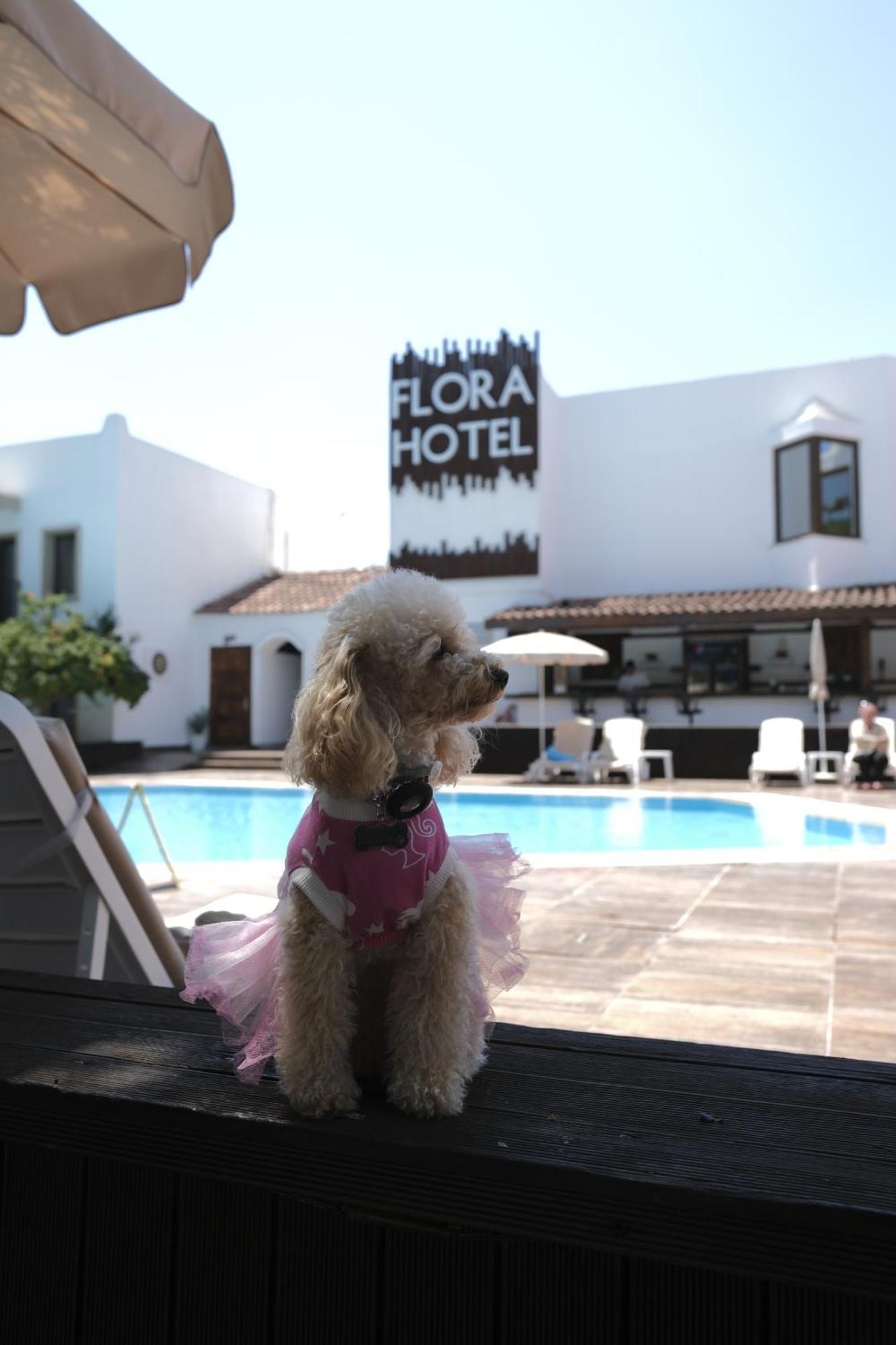 Flora Hotel 3*