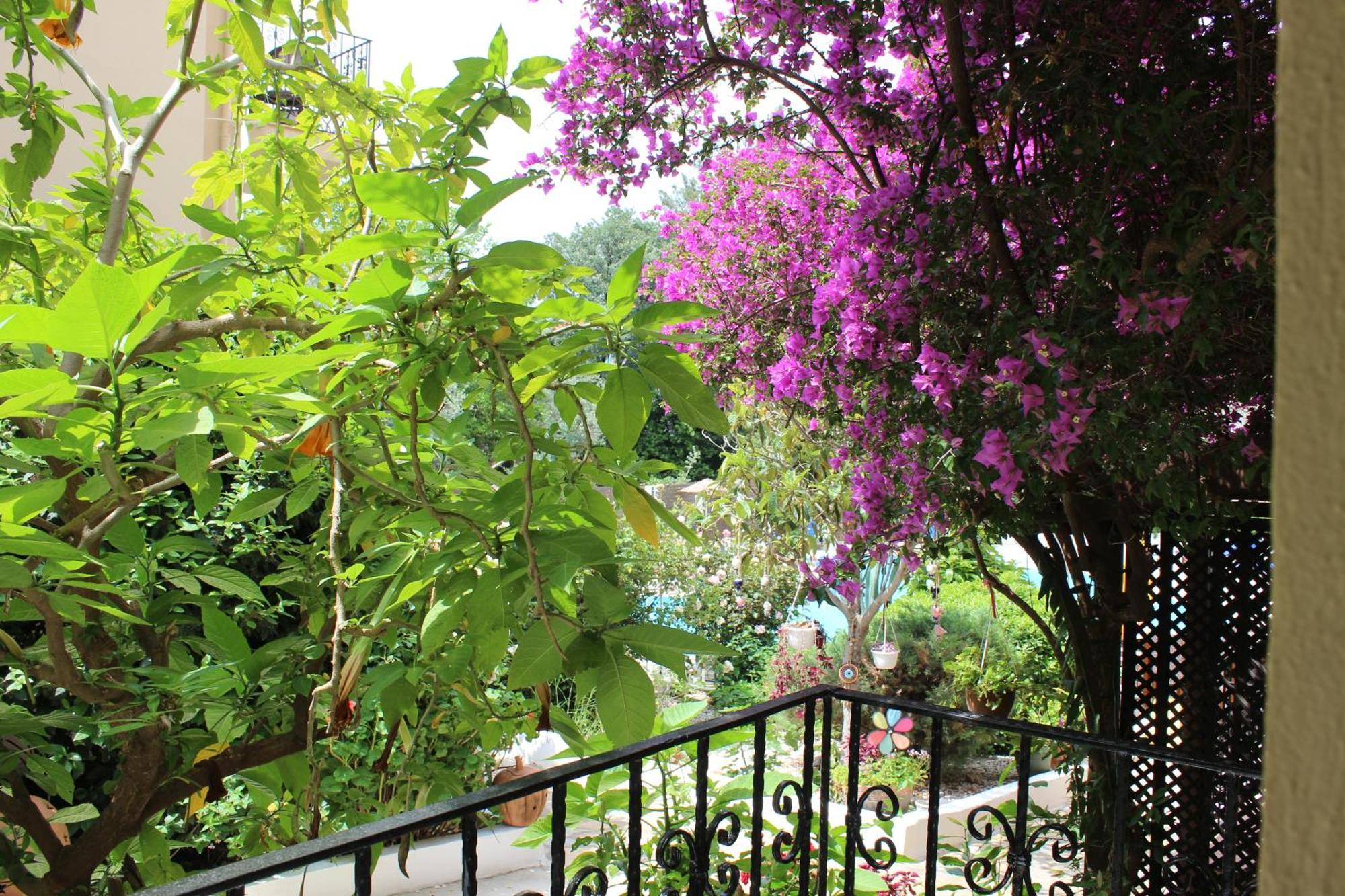 Hotel Tunacan Oludeniz