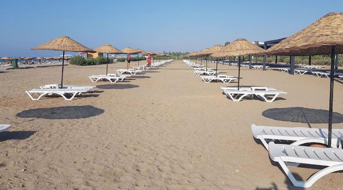 Hotel Dionisus