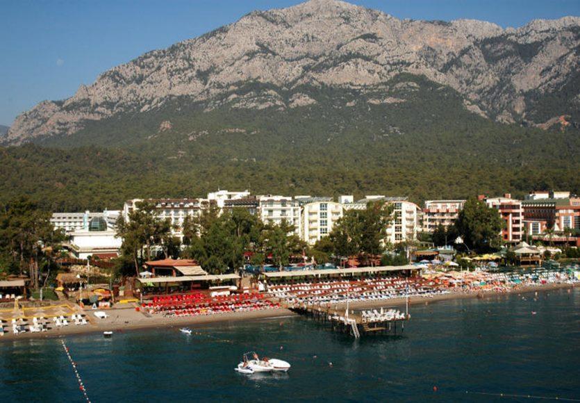 Sentido Palmet