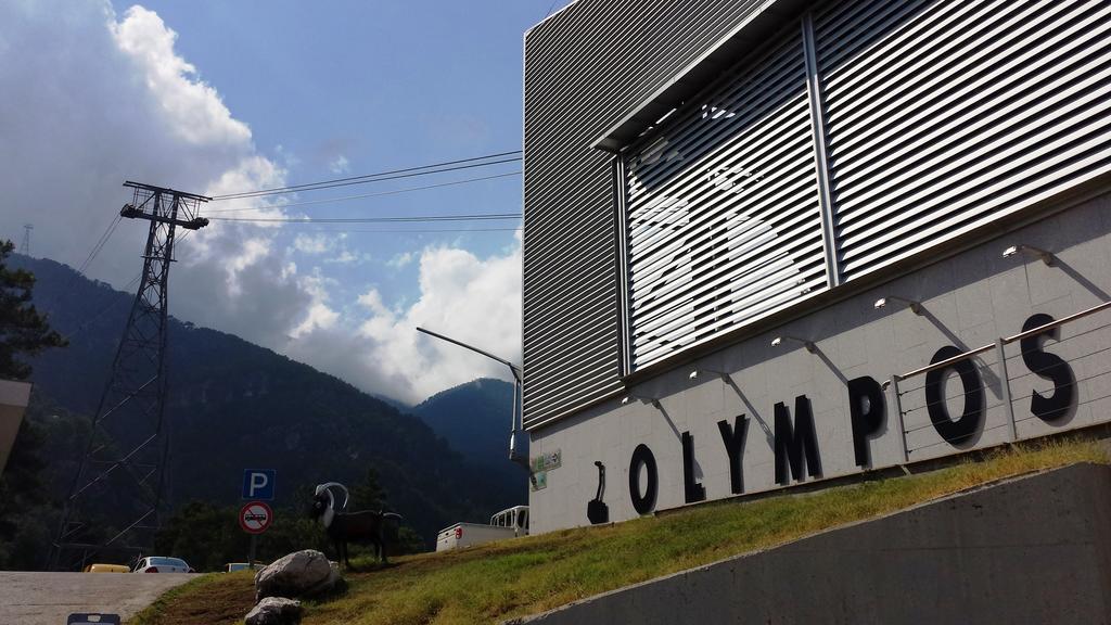 Papatya Kemer