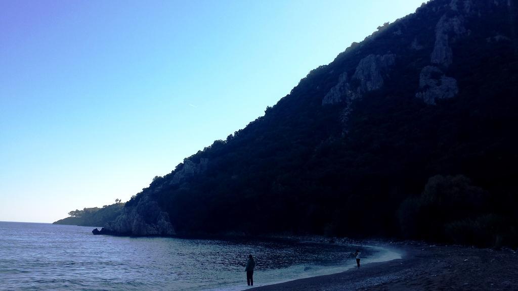 Papatya Kemer
