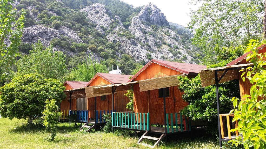 Papatya 3*