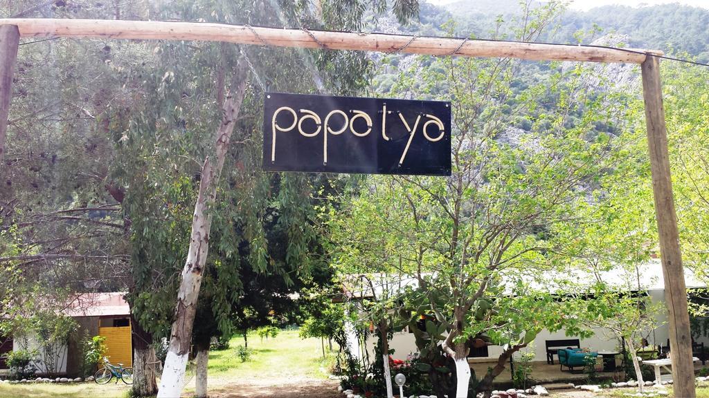 Papatya