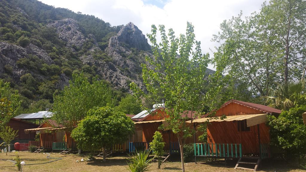 Papatya Kemer