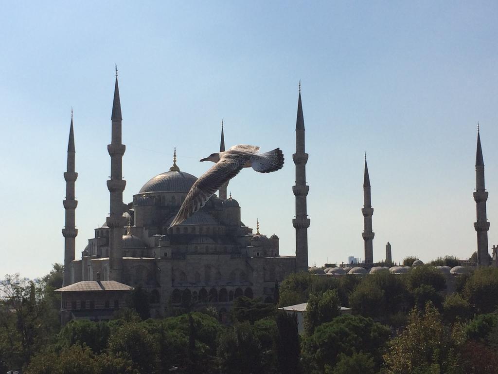 Kalyon Hotel Istanbul