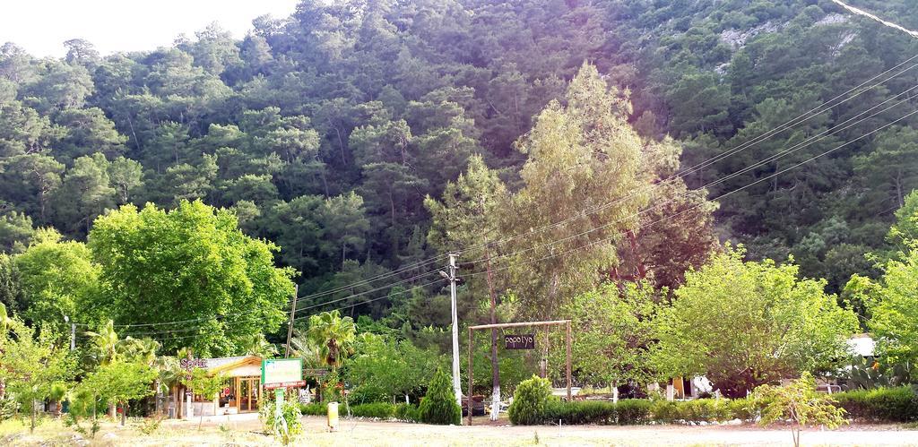 Papatya 3*