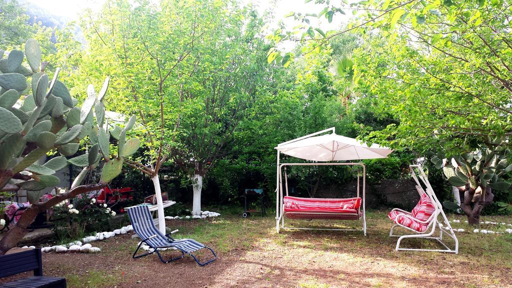 Papatya 3*