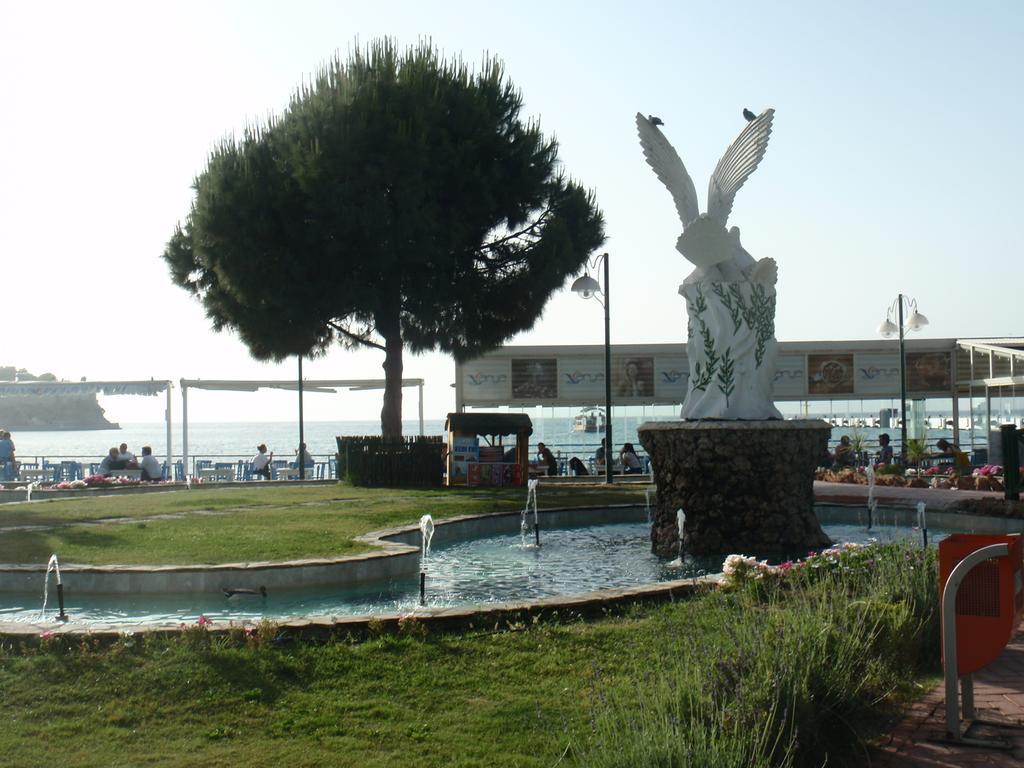 Liman