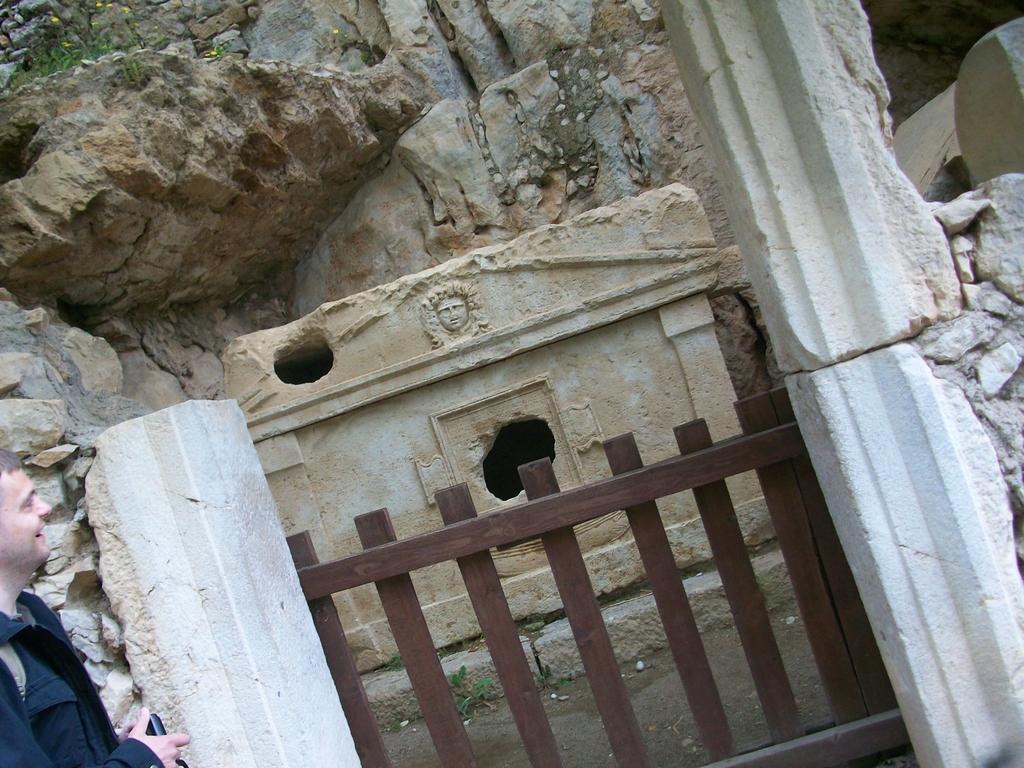 Papatya