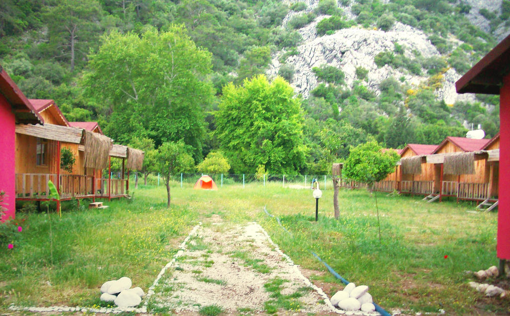 Guest house Papatya