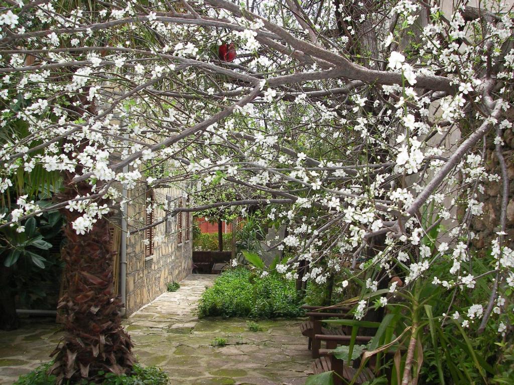Yuekser Guest house