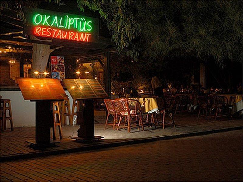Okaliptus Bitez