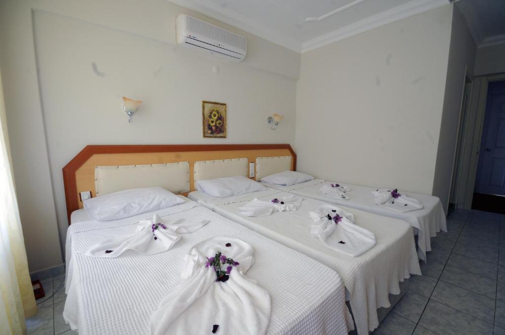 Hotel Swans 1 2*