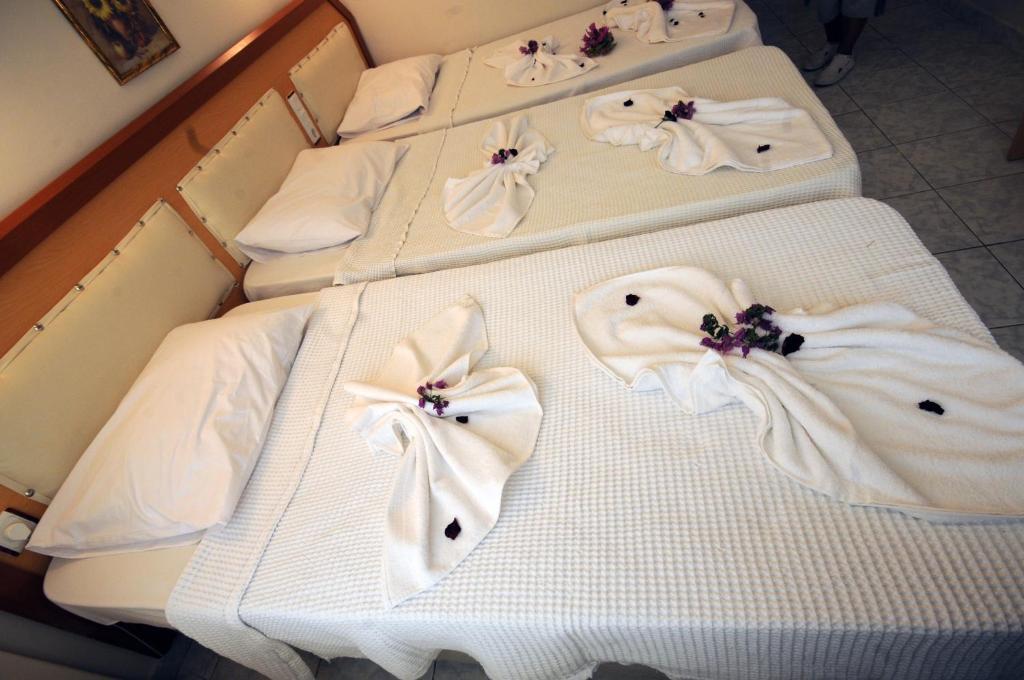 Hotel Swans 1 2*