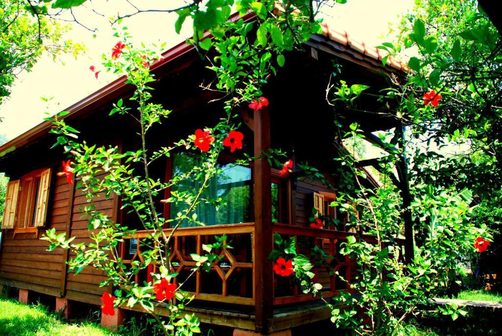 Guest house Baraka House