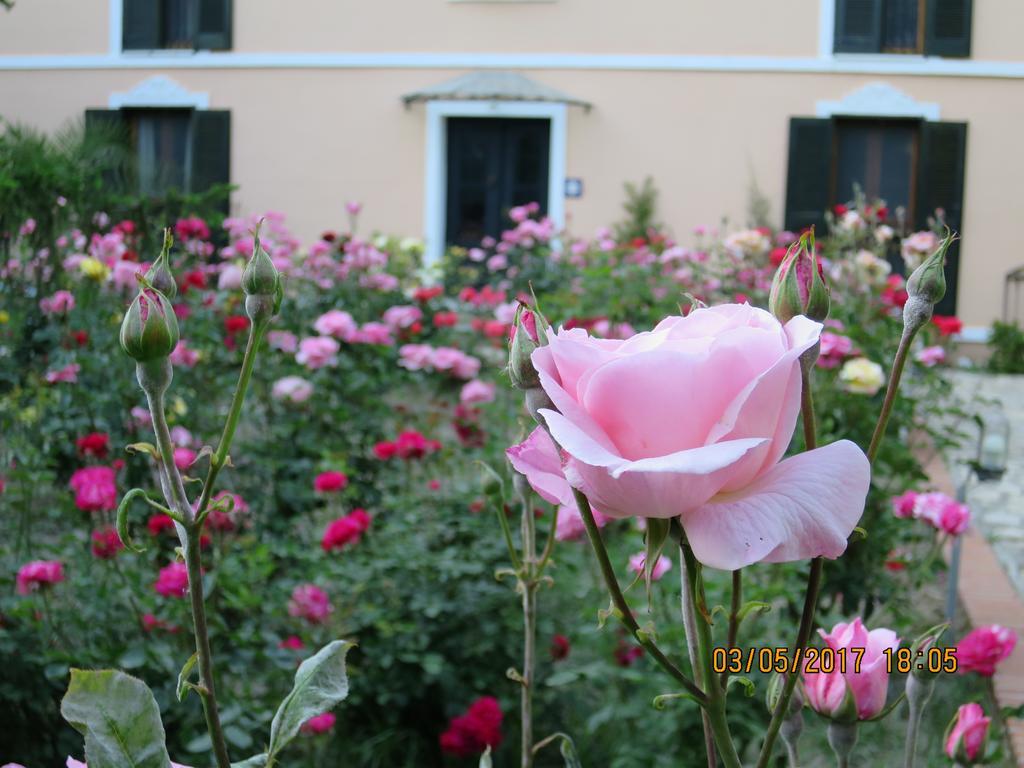 Kalehan Hotel Selcuk