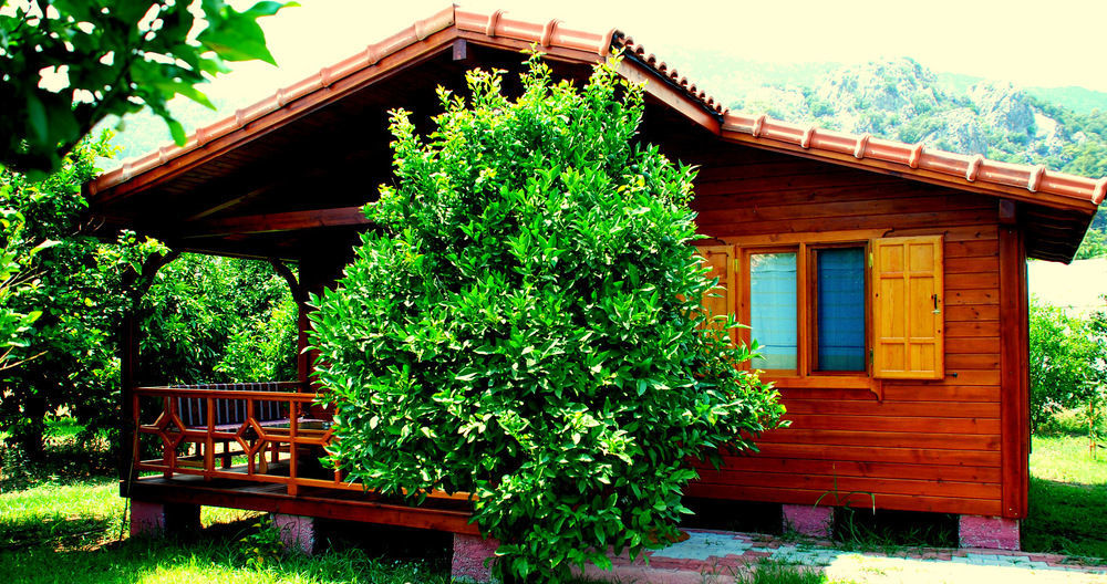 Guest house Baraka House 2*