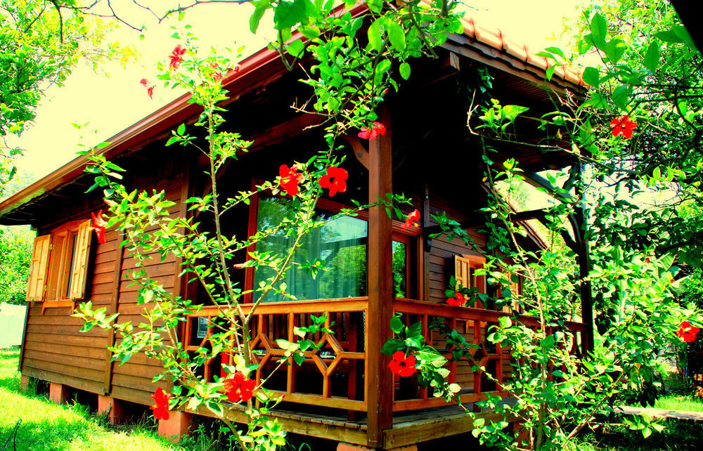 Baraka House Guest house 2*