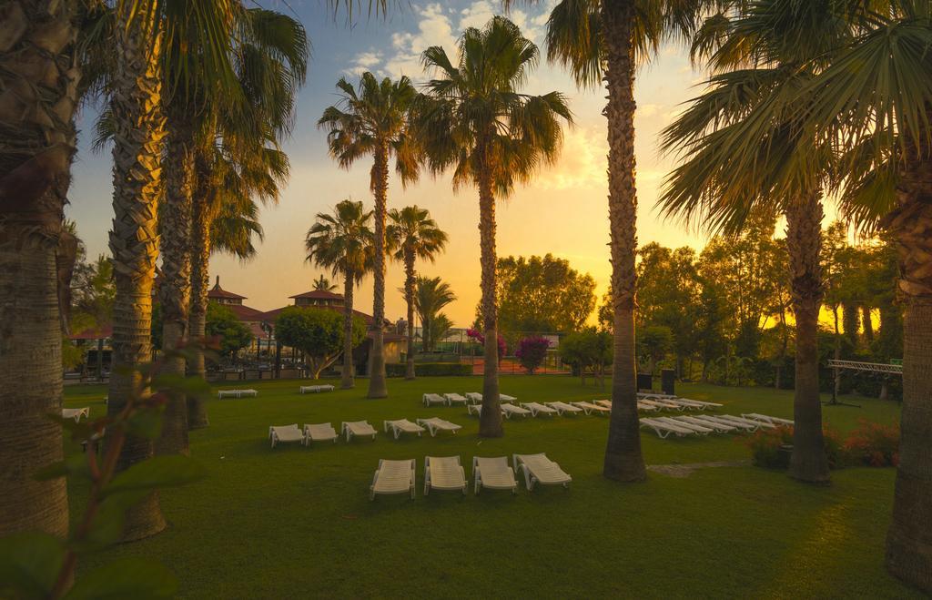 Resort Terrace 5*
