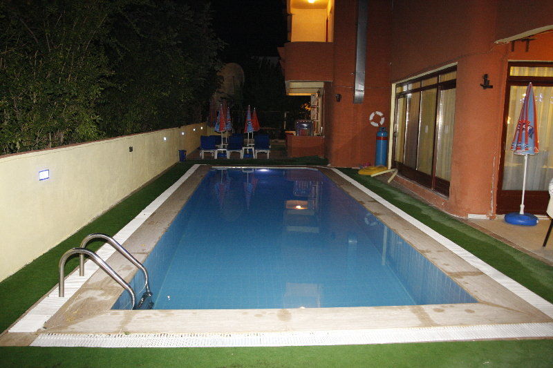 Swans 1 2*
