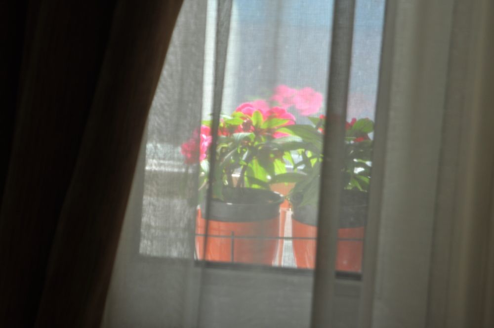 Mini Hotel 2*