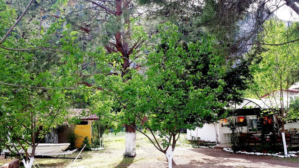 Guest house Papatya