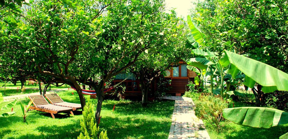 Baraka House Guest house