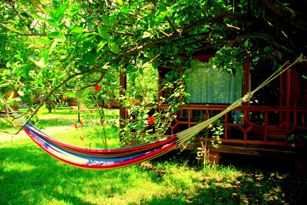Guest house Baraka House Cirali