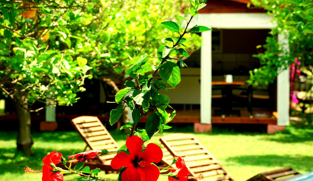 Guest house Baraka House 2*