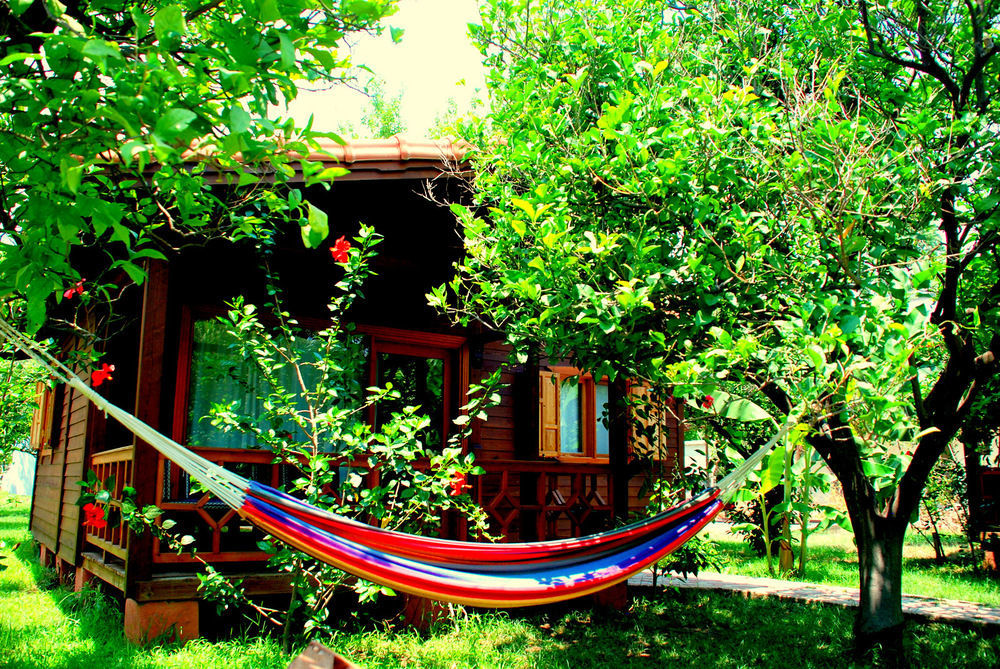 Guest house Baraka House Cirali