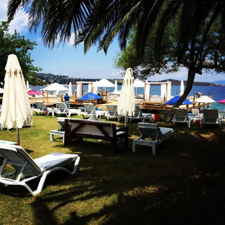 Cohiba Hotel *