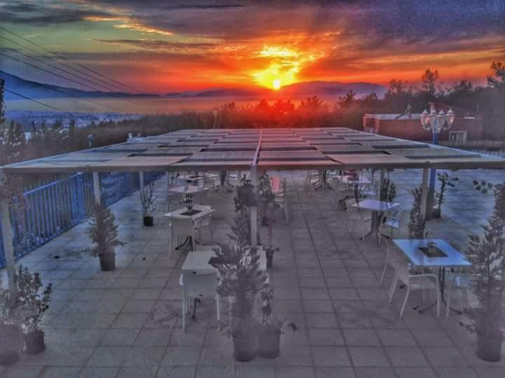 Sunset Garden